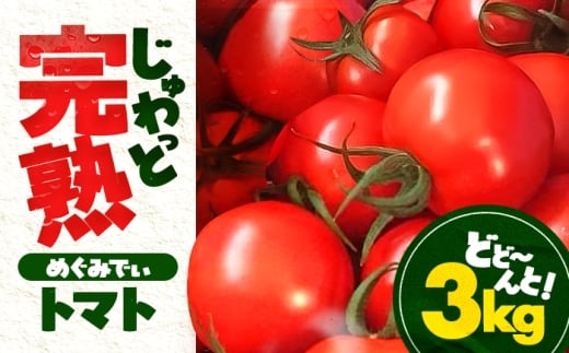 【先行予約/9月下旬より出荷（毎週水曜日発送）】 完熟 めぐみでぃトマト 3kg / とまと トマト 完熟トマト 高糖度 トマト 取り寄せ / 小浜市 / 若狭の恵 【配送不可地域：離島】 [BFAG030]