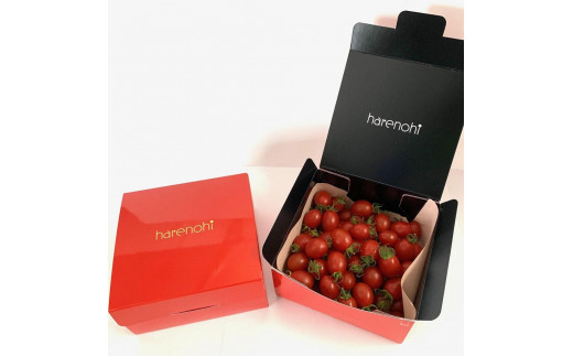 
ハレノヒトマト　プレミアムバラ1kg（500g×2箱）
