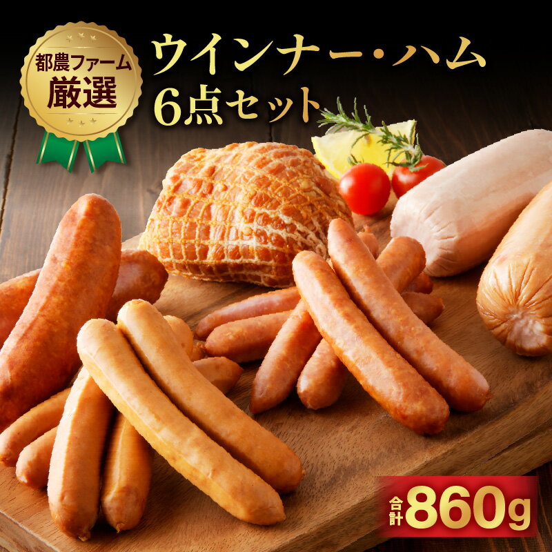 【ふるさと納税】都農ファーム 厳選 ウインナー ハム 6点 セット 合計860g 豚肉 加工品 真空パック 食べ比べ 粗挽き ソーセージ チーズ ポーク おかず おつまみ 晩ご飯 弁当 BBQ 贈り物 ギフト プレゼント 贈答 おすすめ お返し ご褒美 国産 宮崎県 都農町 送料無料