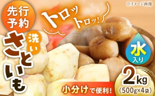 【9月下旬より順次発送】 洗い里芋（水入り）500g×4袋 愛媛県大洲市/沢井青果有限会社 [AGBN033] 野菜 里芋料理 さといも煮 さといも 国産野菜 里芋料理