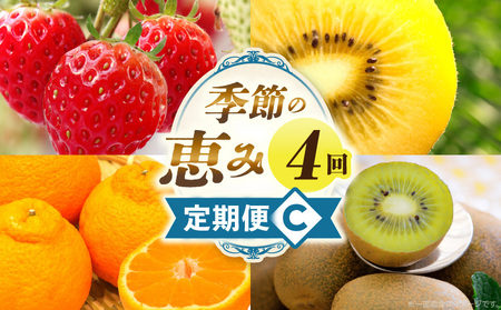 季節の恵み4回定期便C | 果物 フルーツ 青果 青果物 デザート スイーツ 果実 旬 季節 旬の果物 季節の果物 生鮮食品 生鮮 贈答 贈り物 ギフト プレゼント おすそ分け お祝い 内祝い ご褒美