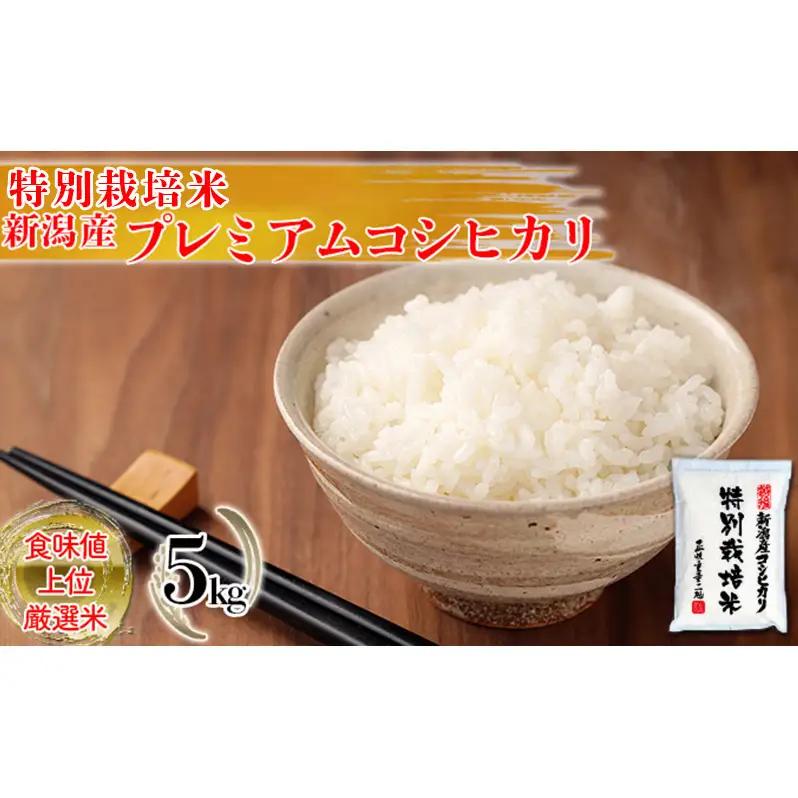 コシヒカリ 特別栽培米 5㎏ 新潟県産 こしひかり