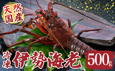 伊勢えび 約500g 産地直送 冷凍 伊勢えび