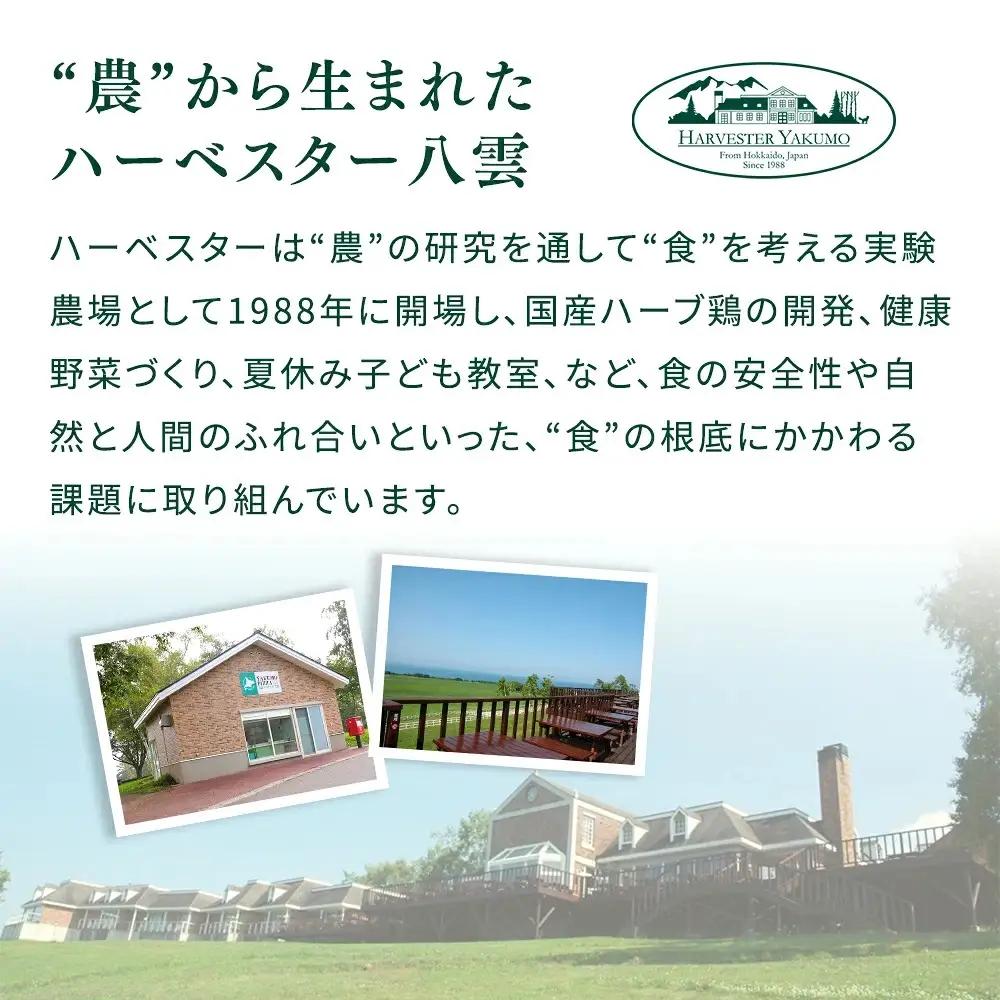 ハーベスター八雲　ピザ工房 北海道産チーズの贅沢マルゲリータ 3枚セット