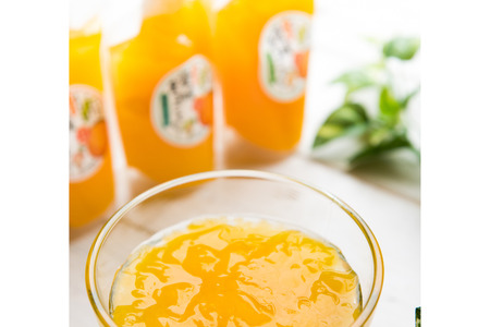 飲みやすいスタンドタイプ 愛媛まるごとゼリー 3種15個 ※離島への配送不可 IKTF027