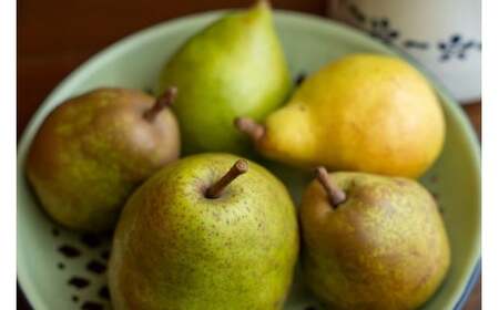 【先行予約】 旬のりんご＆梨 ミックスセット 3kg 品種おまかせ 熊谷農園 フルーツ 詰め合わせ