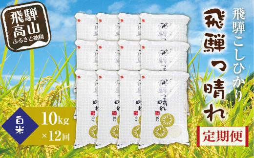 【数量限定】【定期便】こしひかり飛騨っ晴れ 白米 10kg 12回 お届け 生産者直送 お米 コシヒカリ 飛騨産 飛騨高山 アグリランド JF103