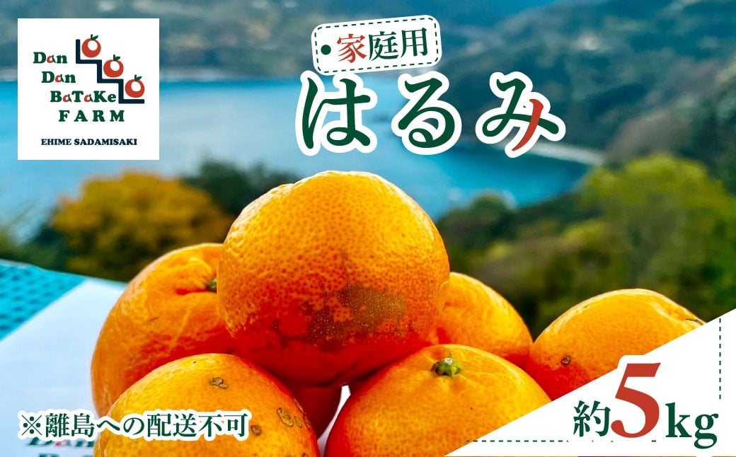 
            【先行予約】【家庭用】はるみ 約5kg | 柑橘 みかん 果物 フルーツ 愛媛県産 農家直送 　※離島への配送不可　※2026年2月上旬より順次発送予定 【ふるさと納税 人気 おすすめ ランキング 柑橘 みかん ミカン フルーツ mikan 果物 オレンジ はるみ DanDan BaTaKe FARM 愛媛県産 家庭用 愛媛県 伊方町 送料無料】 IKTAU004
          