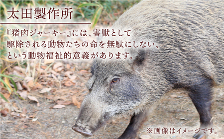 イノチップス 3袋セット【太田製作所】[NCF002]