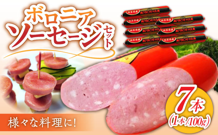 
【宮地ハムのロングセラー】ボロニアソーセージ 100g×7本 /宮地ハム [UBM010] 豚肉 豚 肉 ソーセージ
