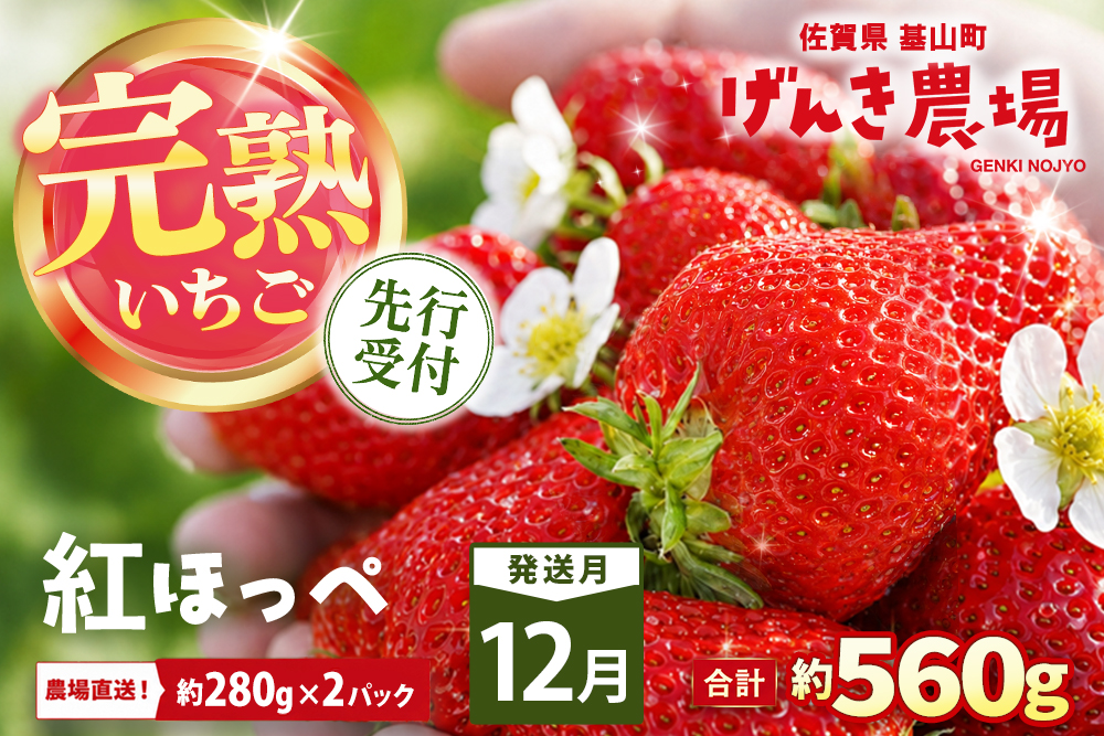 【2026年12月発送】【先行予約】【農場直送！】紅ほっぺ(約280g×2P)【ふるさと納税 佐賀県 基山町産 げんき農場 苺 ブランド苺 イチゴ いちご フルーツ 果物 くだもの 美味しい おいしい