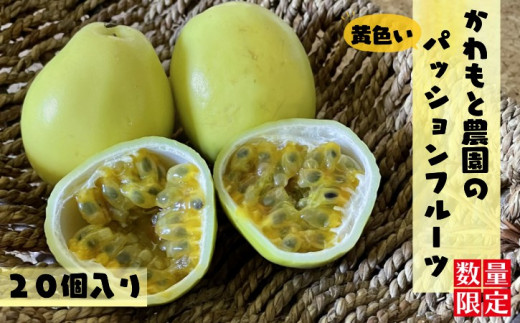 【 7月下旬～8月 】種子島 珍しい 黄色 パッションフルーツ かわもと農園 (20個入り)　NFN460 【450pt】 // 夏期限定 安心・安全 無農薬
