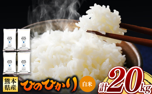 熊本県産 ひのひかり 白米 20kg | お米 米 こめ おこめ 精米 白米 ヒノヒカリ 20キロ フードロス 国産 国産米 くまもと 熊本 熊本県 玉名市 玉名