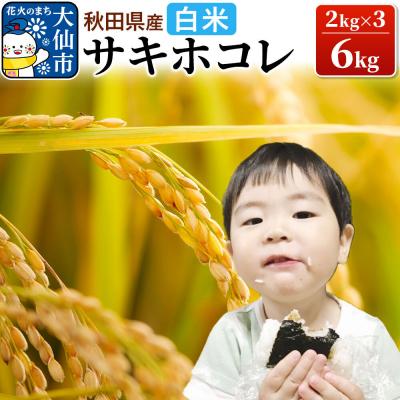 ふるさと納税 大仙市 米 令和7年産「特別栽培米 サキホコレ」6kg【白米】【特A】|22_oks-210601