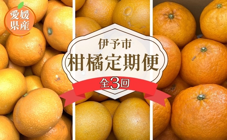 
                  【2026年先行予約】訳あり 柑橘定期便 全3回 温州みかん 愛果28号 甘平 ご家庭用 柑橘 フルーツ 愛媛県 伊予市｜D127
                