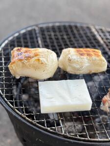 杵つき餅5パックセット（白餅2・草餅1・豆餅1・玄米餅1）有機jaS認証米 |津南町 もちセット