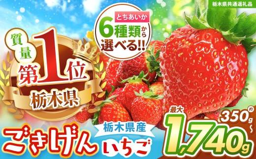 【栃木県共通返礼品】【チョイス限定企画】【先行予約】とちあいかデラックス 約1740g (290g×6) | いちご とちあいか 大粒 新鮮 甘い 数量 限定 美味しい スイーツ ジューシー 果物 共通返礼品 フルーツ デザート 栃木県 送料無料