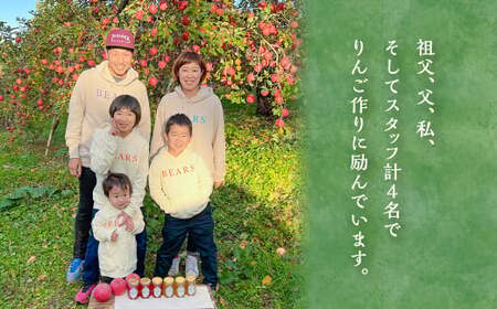白鷹町産りんご （高徳） 3kg りんご 林檎 果物 くだもの フルーツ 旬 高徳 国産 山形県 白鷹町 【2026年11月上旬～11月下旬発送予定】