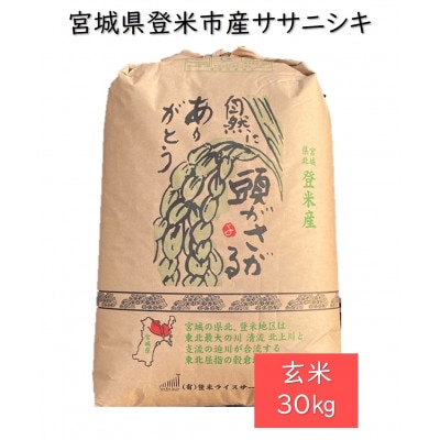 令和7年産　宮城県登米市産ササニシキ(玄米)30kg【1139102】