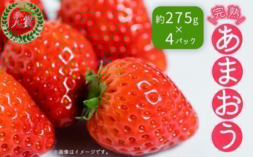暖家のいちご 完熟あまおう (約275ｇ×4パック） 4H4-S