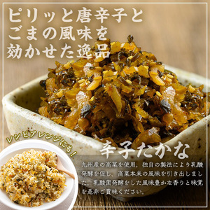 ＜定期便全3回＞たかな3種定期便 (10袋×3回) 漬物 高菜 つけもの【曽於市観光協会】T72