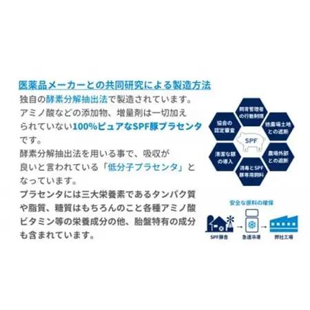 SPFプラセンタ【20箱セット】(1箱30粒入)_惣菜・加工品   _【1501457】