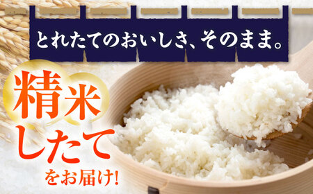 【令和7年産新米】 コシヒカリ 10kg 米 白米 こしひかり[AQDK002]