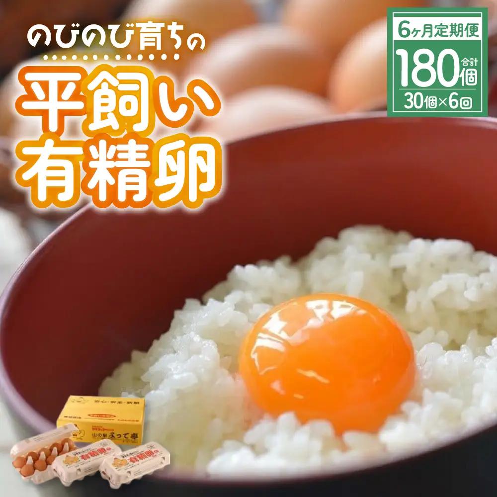 【卵 定期便6回】平飼い「有精たまご」卵30個