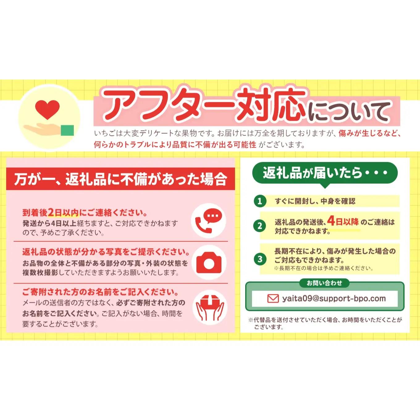 【先行予約】貴重な12月発送！贅沢な栃木のいちご4種食べ比べセット 960g | とちあいか とちおとめ スカイベリー ミルキーベリー