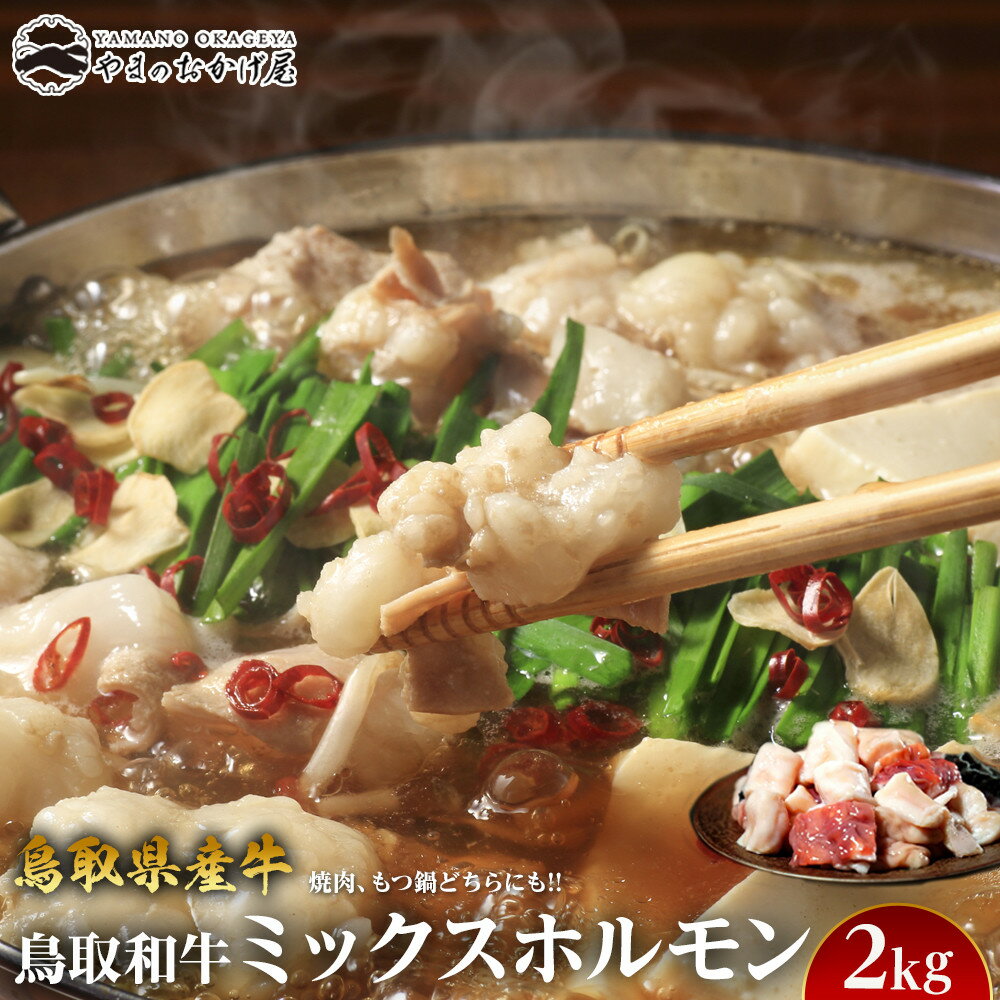 【ふるさと納税】鳥取県産牛　ミックスホルモン　2kg