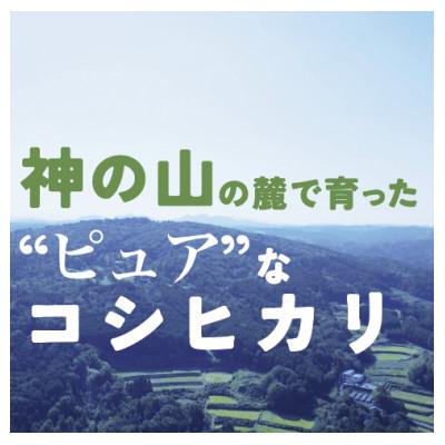 ふるさと納税 山添村 切幡営農組合のコシヒカリ　令和6年産　精米5kg×2袋 |  | 02