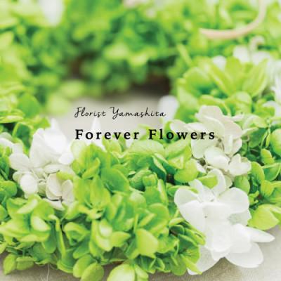 ふるさと納税 山梨県 プリザーブドフラワー 紫陽花 グリーン リース  枯れないお花のアレンジメント |  | 01