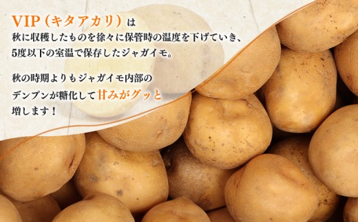 【2月～4月発送予定】（生産者直送）氷温熟成VIP（キタアカリ）5kg