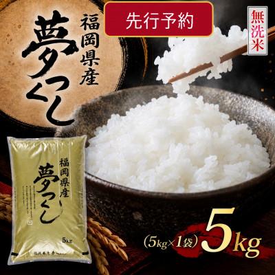 ふるさと納税 朝倉市 《無洗米》【新米 8年産】9月〜発送【食味鑑定士厳選】福岡県産 夢つくし5k(5k×1袋)(朝倉市)