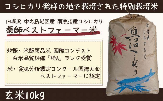 【令和6年産 】新潟県 南魚沼産 コシヒカリ お米 こしひかり 玄米 のし 贈り物  熨斗 贈答用 令和6年産 旧塩沢町 中之島地区産 薬師ベストファーマー米 10kg