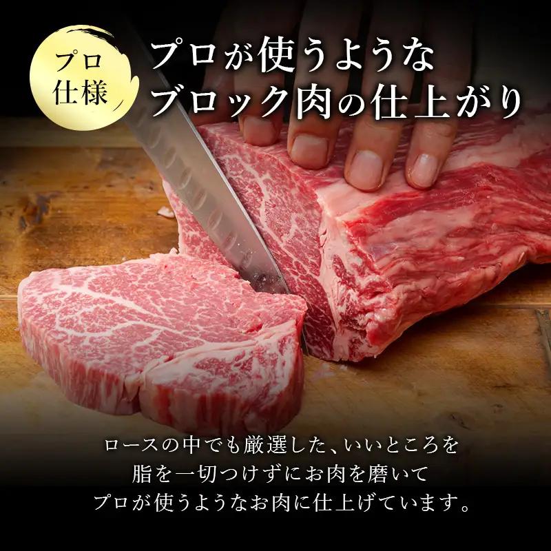 《プロシリーズ》佐賀牛 最上位部位ロースブロック500g ステーキ