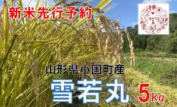 【令和８年産米 先行予約】山形県小国町産　雪若丸5kg　きせつ家