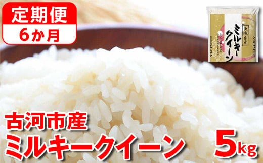 
										
										【新米】【定期便 6か月】令和6年産 古河市産ミルキークイーン 5kg◇ ｜ 米 こめ コメ 5キロ 定期便 精米 みるきーくいーん ミルキー 単一米 国産 古河市産 茨城県産 贈答 贈り物 プレゼント 茨城県 古河市 直送 農家直送 産地直送 送料無料 _DP38
									