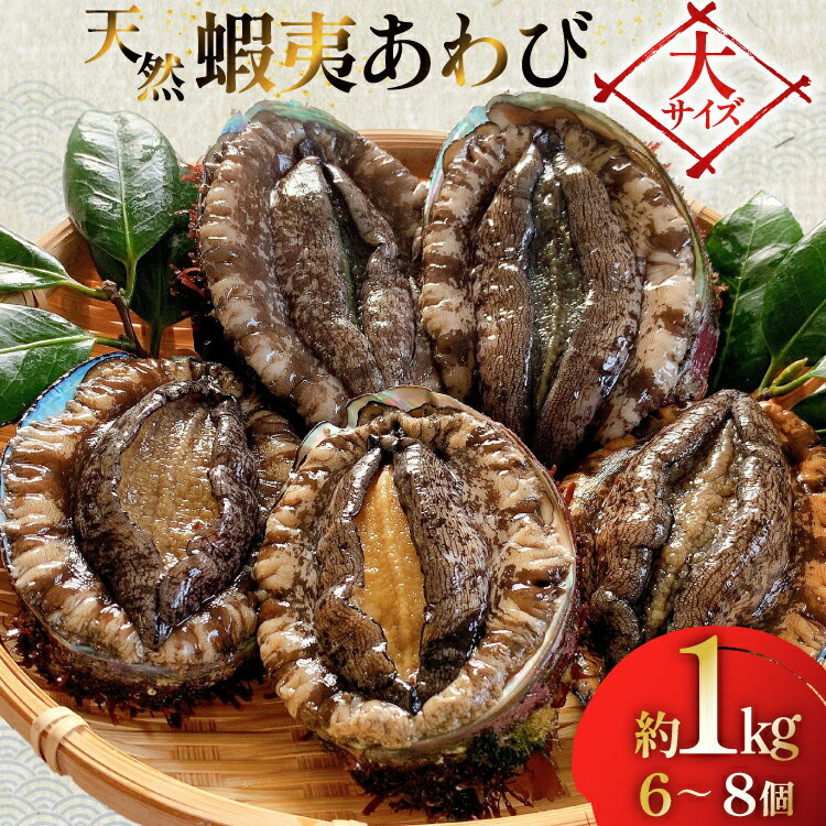 【ふるさと納税】 アワビ 鮑 天然 蝦夷あわび パック 約1kg [たみこの海パック 宮城県 南三陸町 m304amh560080] 冷凍 セット 高級 豪華 海鮮