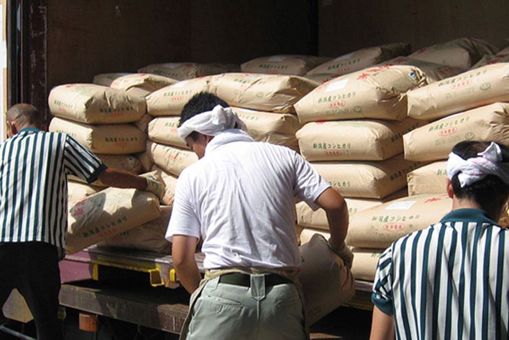 〈令和7年産 新米〉新潟産コシヒカリ 5kg 精米 白米