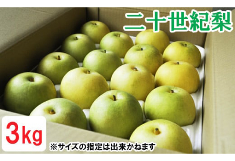 鳥取県産 二十世紀梨　3kg