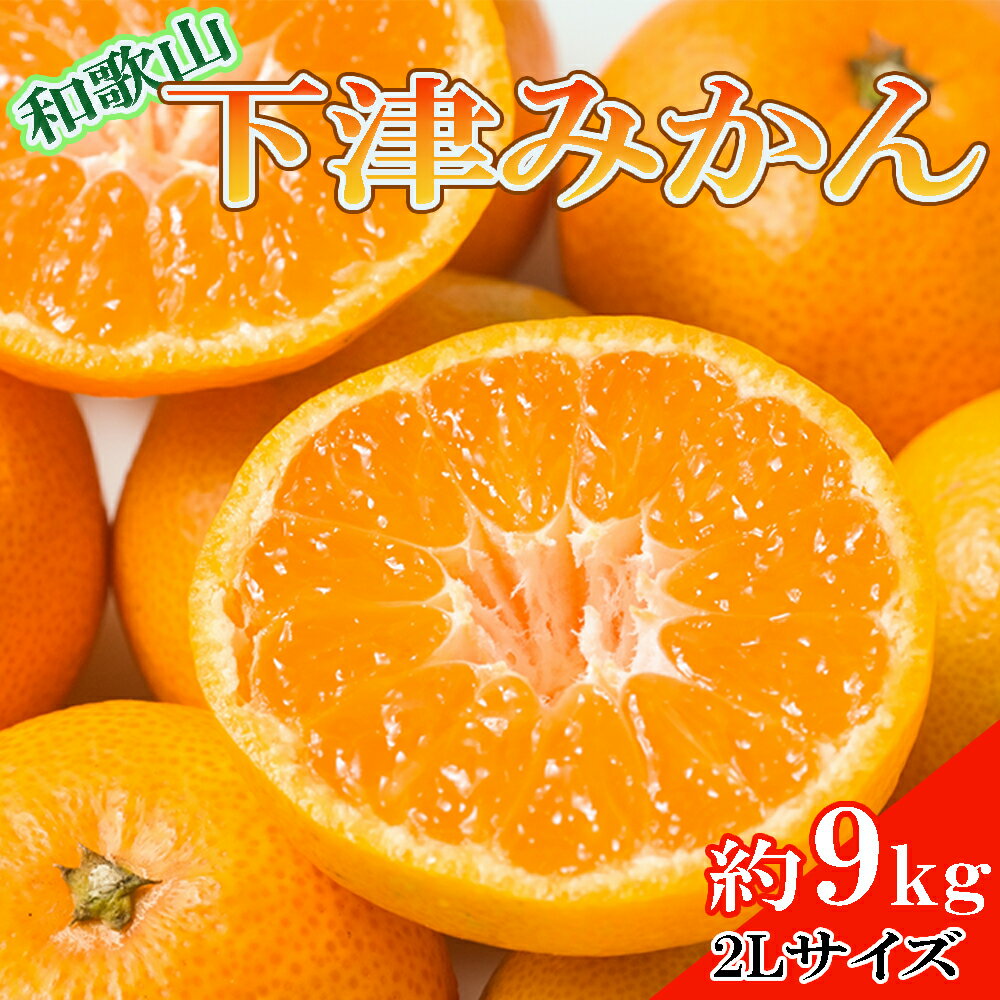 【ふるさと納税】 【産直・秀品】和歌山下津みかん 9kg(2Lサイズ) ※2026年11月中旬～2027年1月中旬頃に順次発送(お届け日指定不可)