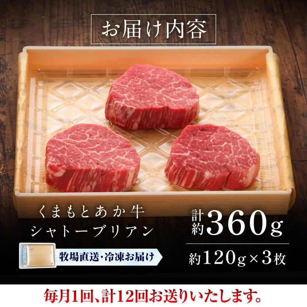 12回定期便 GI認証 くまもとあか牛シャトーブリアン 約120g×3枚 ステーキ BHAS074 ステーキ