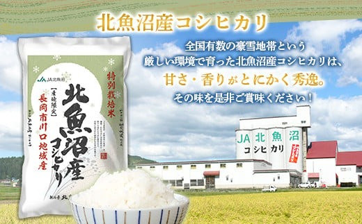 7T10-1北魚沼産コシヒカリ特別栽培米10kg（長岡川口地域）【2025年10月発送】