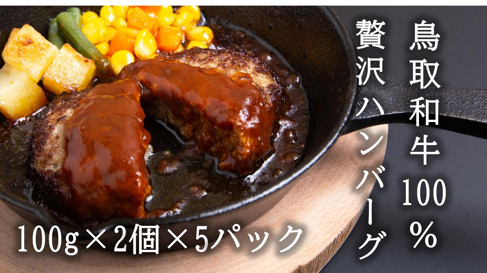 
U1-5 鳥取和牛100％贅沢ハンバーグ（100g×2個×5パック）
