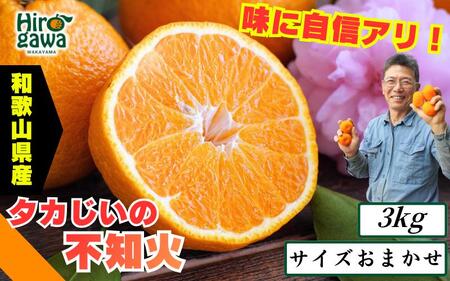 タカじいの 不知火 ( しらぬい ） 3kg / デコポン 甘い 和歌山 有田 柑橘 ※2027年3月上旬〜3月下旬に順次発送 【krs010-r-3B】
