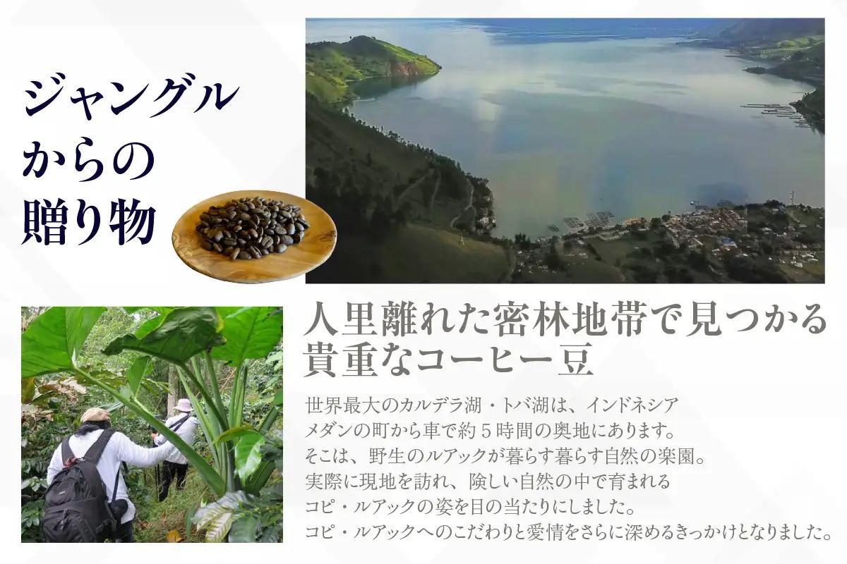 【お中元用】幻のコーヒー　コピ・ルアック【豆のまま】（3551）