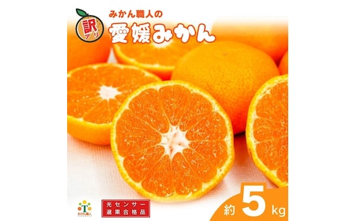 
										
										訳あり 愛媛みかん 約5kg 【発送期間：9月中旬～1月中旬】光センサー選果 柑橘 果物 国産 フルーツ 蜜柑 大小 ミックス 不揃い 傷 温州 ビタミン 美味しい みかん職人武田屋 愛媛県 愛南町
									