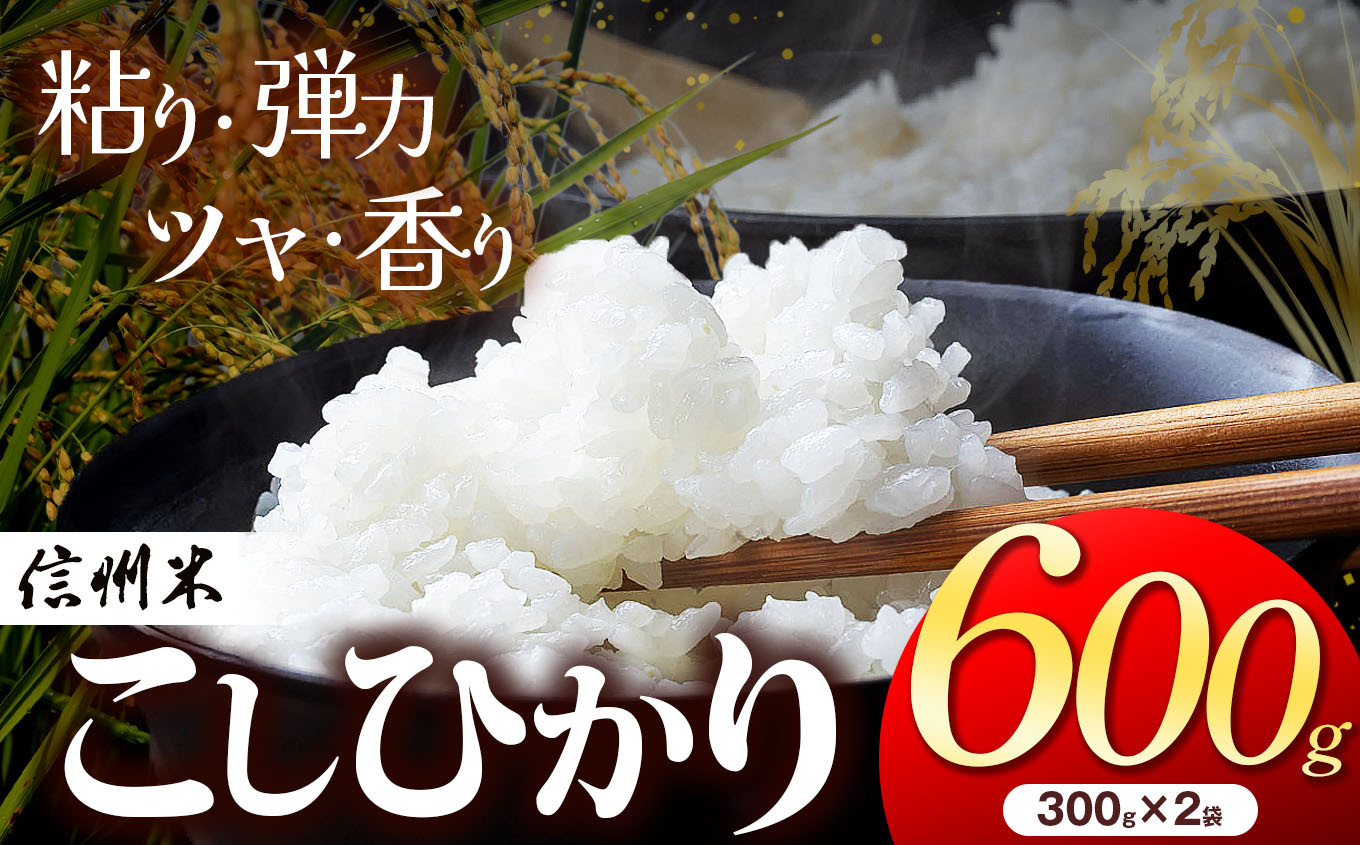 
            信州松本産 こしひかり 白米 600g （2合300g×2袋 )   │信州 松本市 米 お米 コシヒカリ こしひかり アルプス 国産米 長野県産 おすすめ 白米 ふっくら 田畑 農家 ふるさと納税 松本市 美味しい
          