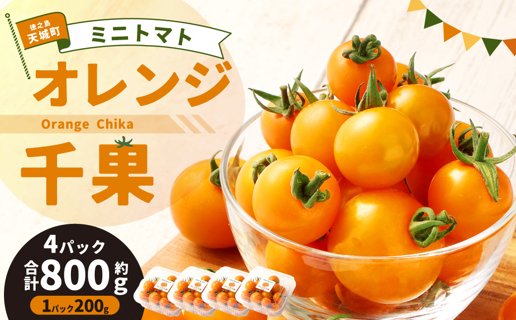 
            徳之島 天城町産 ミニトマト 800g(200g×4パック) オレンジ千果
          